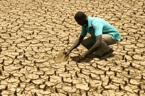 Editorial: Time for climate action is now!