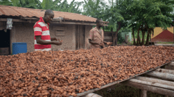 Reciprocal tariffs should exclude vulnerable developing countries – UN trade body