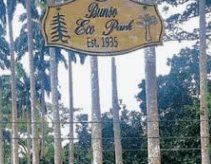Accra life: The essential list