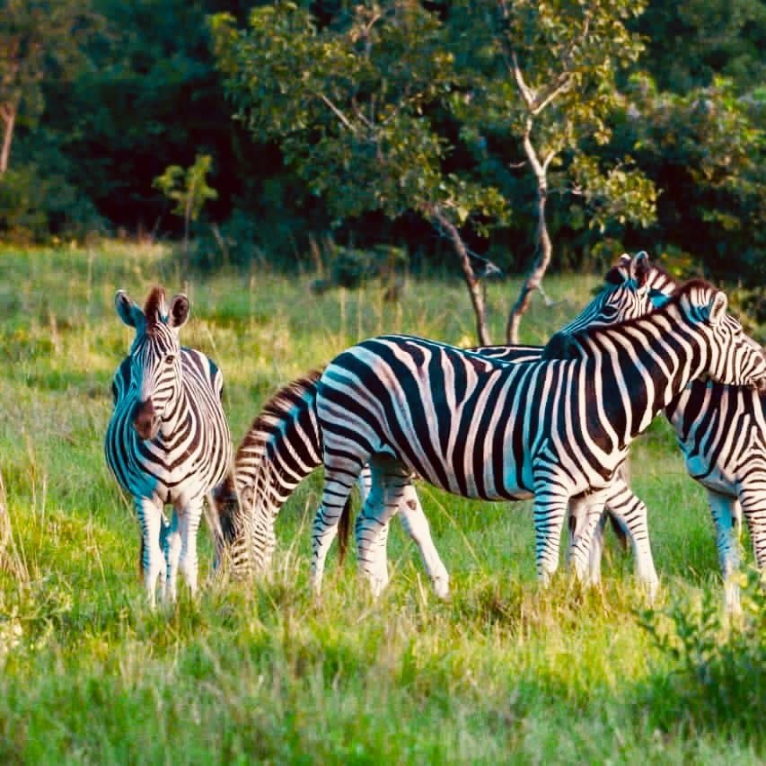 Roadtrip: “Ad.ventucre.scape!” to the play park, wildlife sanctuary and an eco camp retreat at Blue Island on Lake Volta.