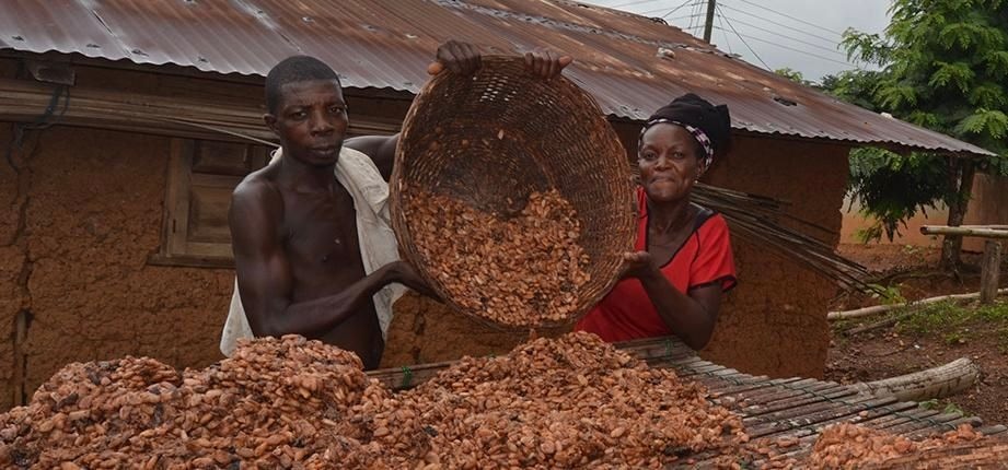 Who Owns the Village Economy?