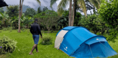 3 reasons to unplug & recharge this month