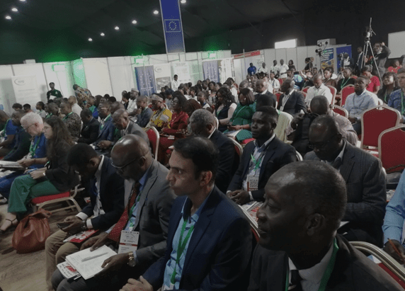 Local industries reel under flood of parallel imports – AGI warns of dire impact on economy
