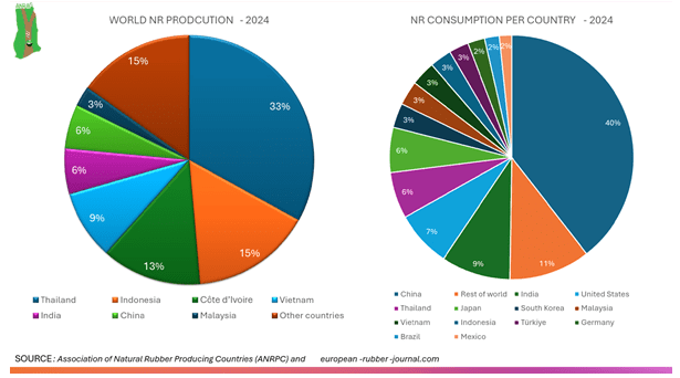 Uncontrolled rubber exports threaten industry – AGI President
