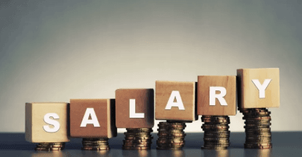Unequal pay in public service: The alarming disparity in CEO salaries in state institutions