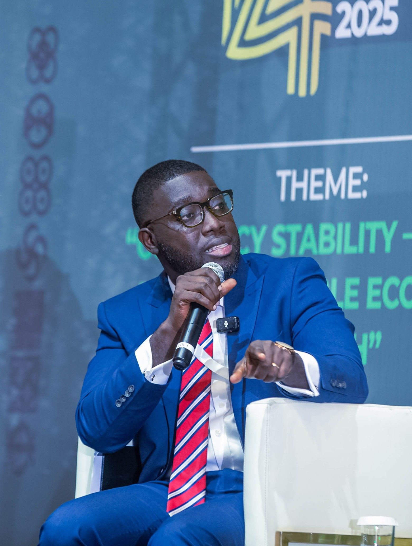 Domestic banks have capacity to fund energy projects – Fidelity Bank Director