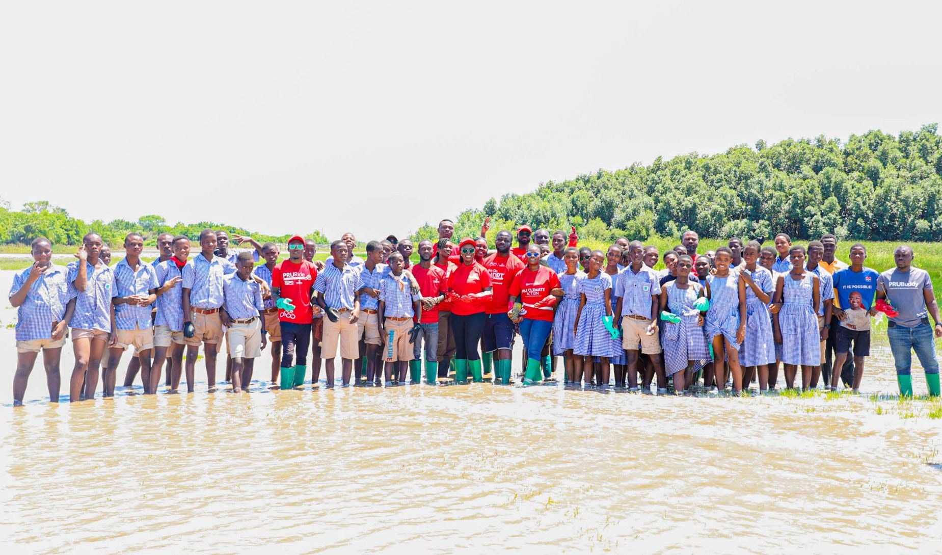 Restoring Wetlands: Prudential Life leads mangrove restoration in Ada area