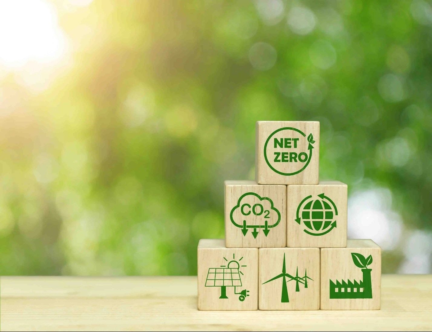 Measuring the success of rPET recycling initiative: Monitoring frameworks for transparency and impact