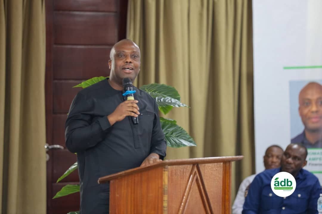 Deputy Finance Minister lauds ADB’s strong financial performance