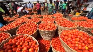 Prioritise domestic vegetable production to meet demand