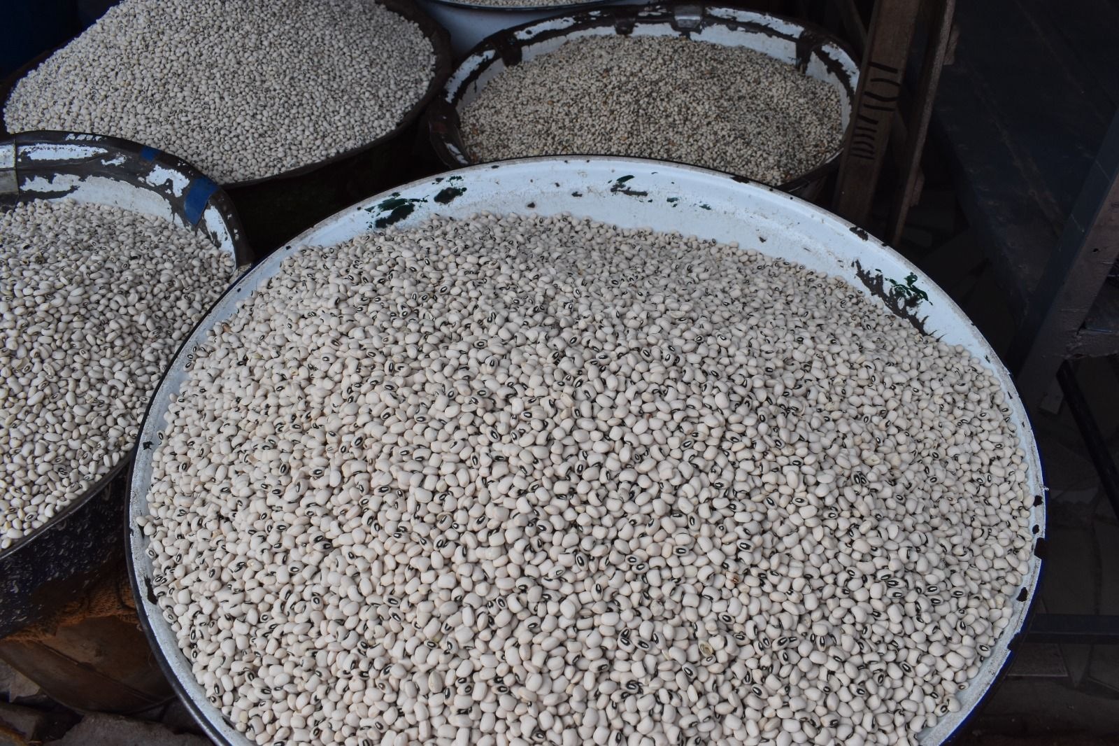 Scientist assures public of safety of PBR cowpea