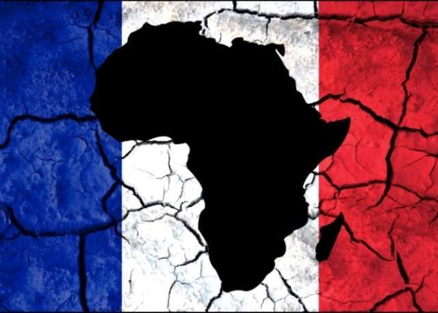 France bridging Africa with multifaceted economic partnerships