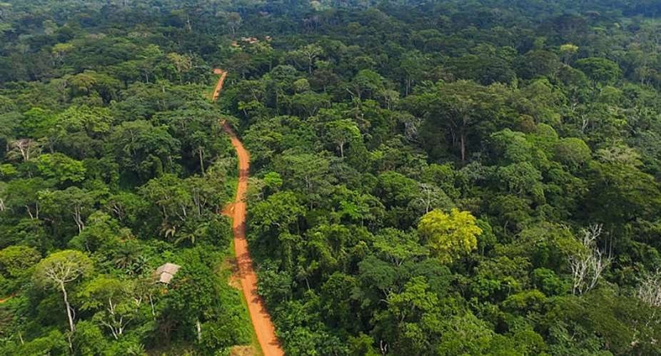 Ghana Forest Restoration Grant Scheme to restore 14,000 degraded forests