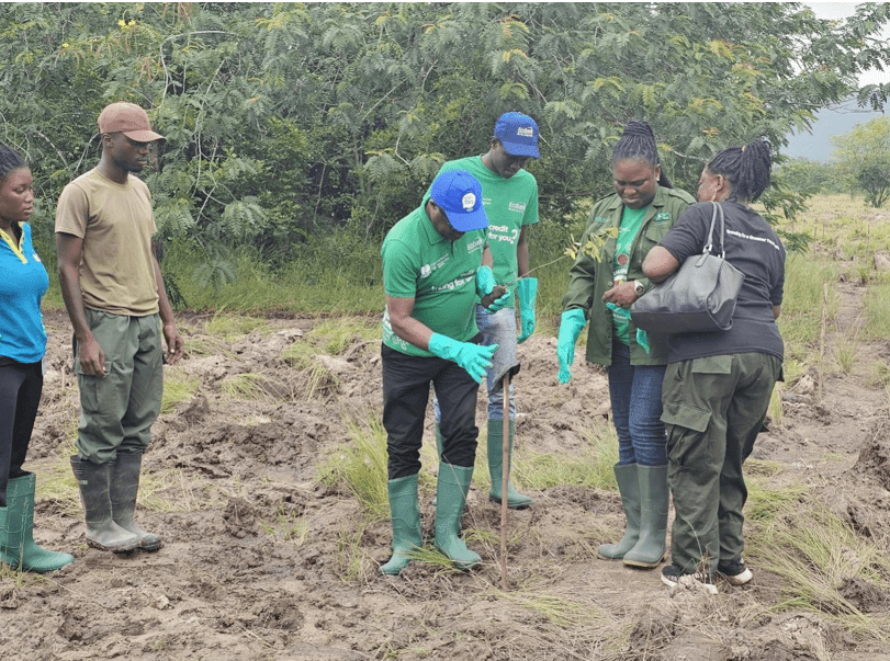Ecobank plants 2,000 trees at Chipa Forest