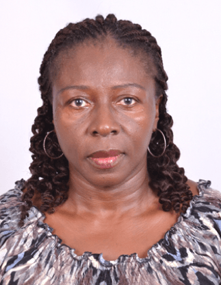 Ama Kudom-Agyemang's thoughts ....The honey, bees and threatened ecosystem service valued at US$353.6bn annually