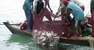 Editorial : Good news from the fishing sector