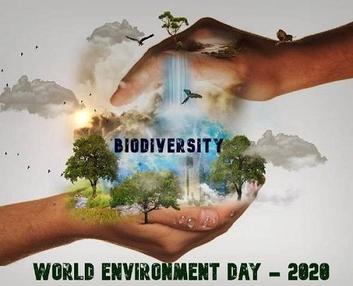 Editorial: Today is World Environment Day