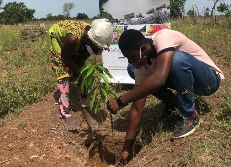 EU/GIZ-REACH Project plants 22,000 seedlings in Upper West, Savannah Regions