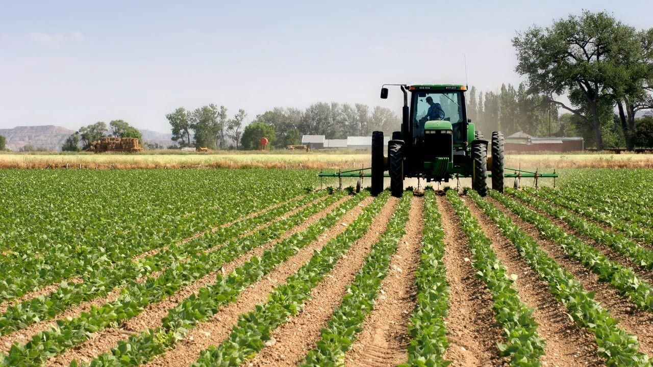 Gov’t determines to track PFJ fertiliser supply