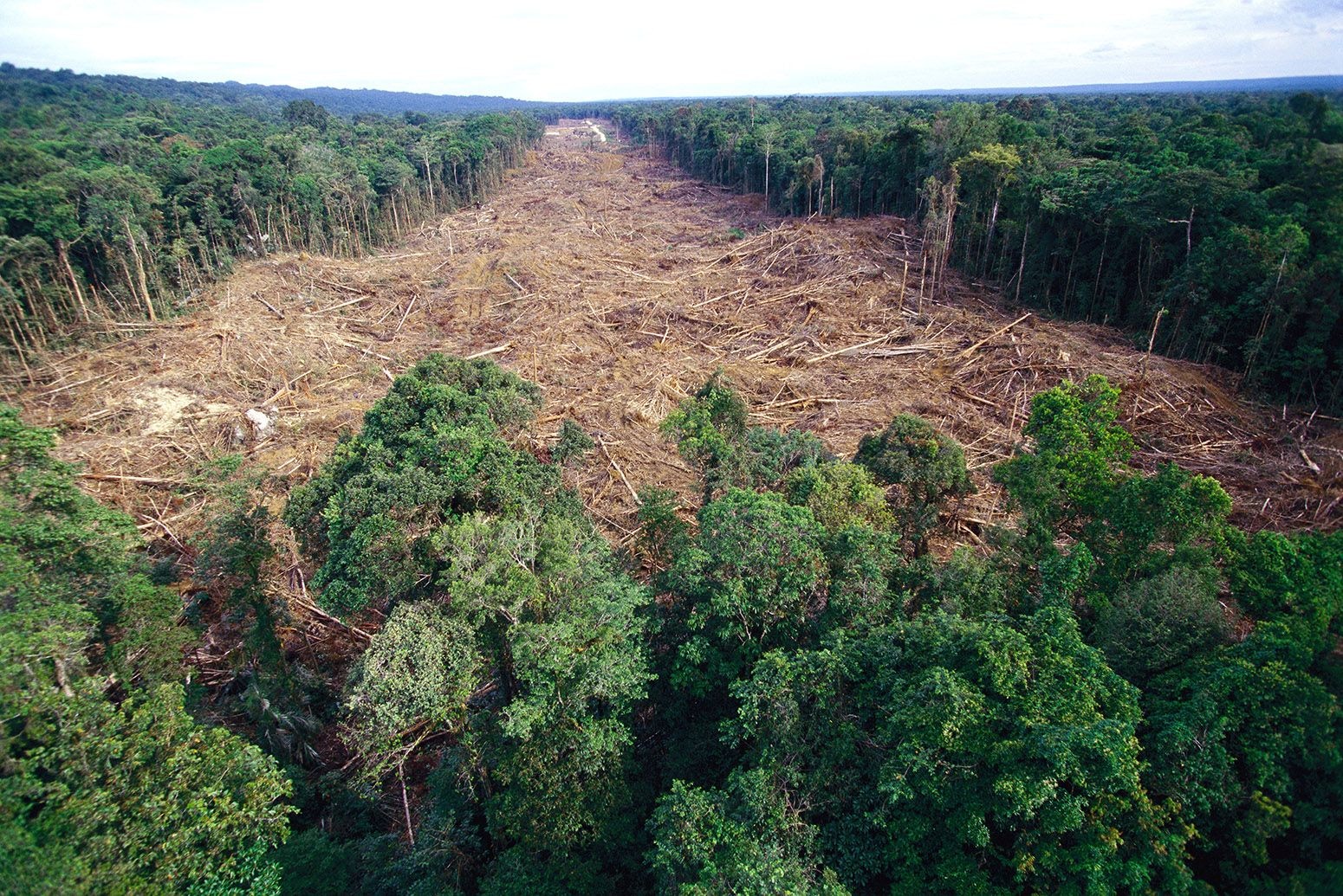 Ghana pushes ahead with efforts to reduce emissions from deforestation