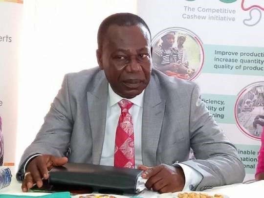 Gov’t exploring international collaboration to boost local cashew processing