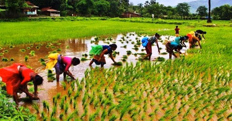 Agric value chain actors urged to find sustainable approaches to make the sector resilient