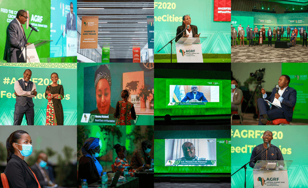 2020 AGRF Virtual Summit: A call to action to use Africa’s strength to transform agriculture in COVID-19 era