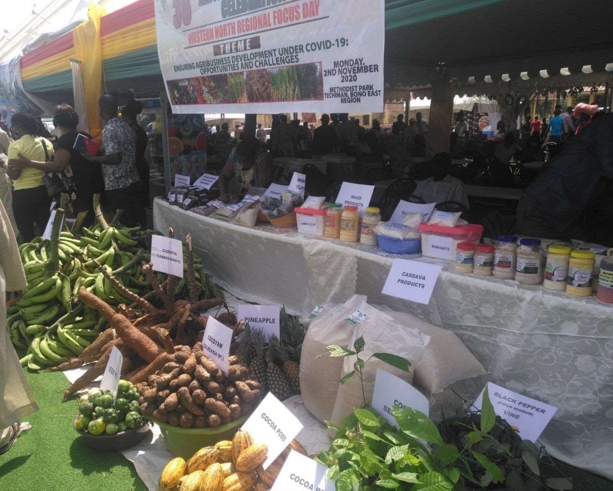 Week-long Farmers’ Day agricultural fair opens at Techiman