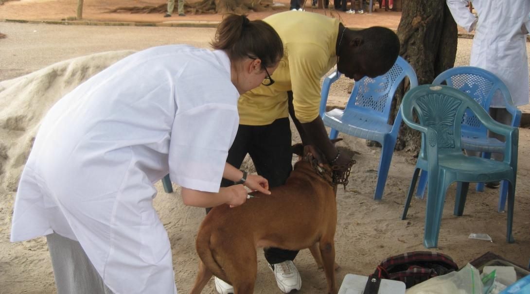 Veterinary Council outdoors modified Meat Inspection Regulation