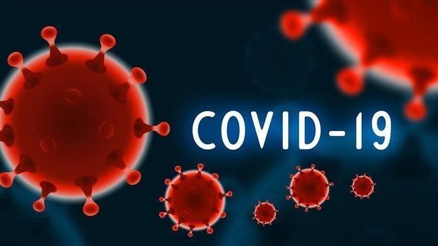 Did US biotechnology help to create COVID-19?