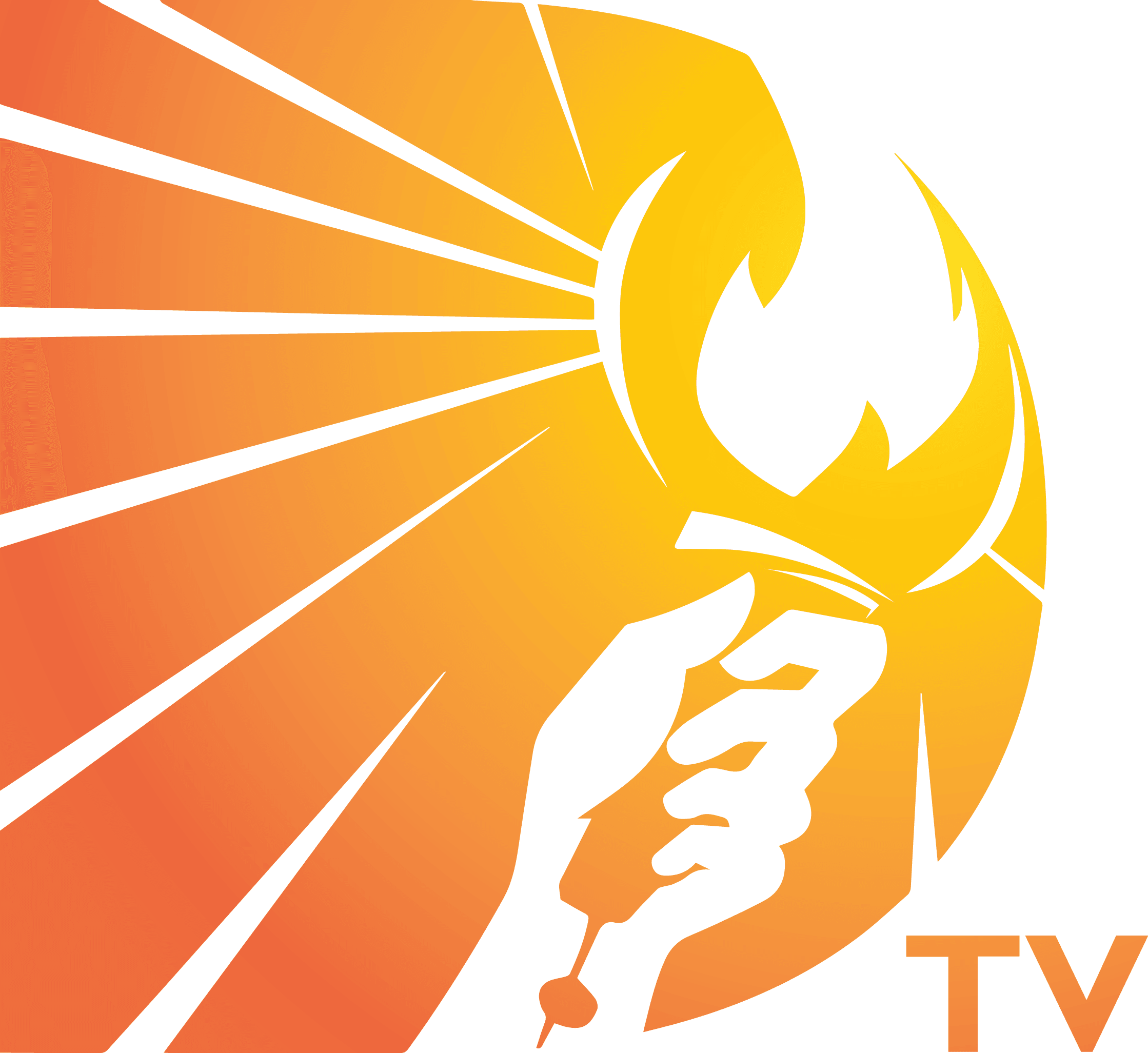 Dominion TV channel reviewed for better viewing experience
