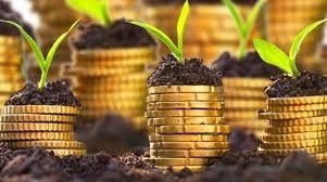 Unlocking Africa’s agricultural potential through warehouse receipt financing