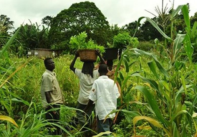 Fear grips over 2m peasant farmers