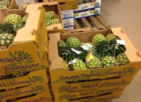 Restore our export licences or we go through Lome – Fruit exporters to GPHA