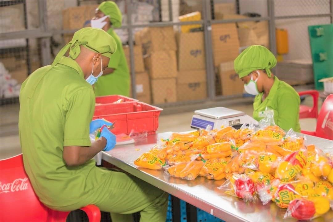 UNDP engages the private sector to unlock investments for SDGs attainment