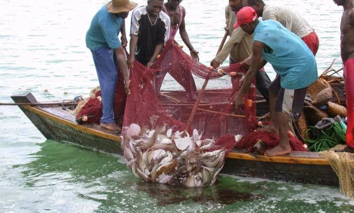 Editorial: Bold steps needed to sanitize fisheries sectors