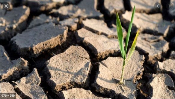 African presidents support bold action on climate change adaptation
