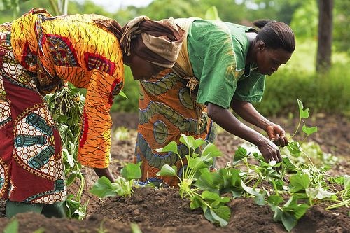 National Traceability, Early Warning Mechanism key players for farmers, exporters – PPRSD