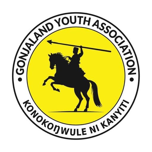 Gonja Youth demand an end to commercial charcoal burning