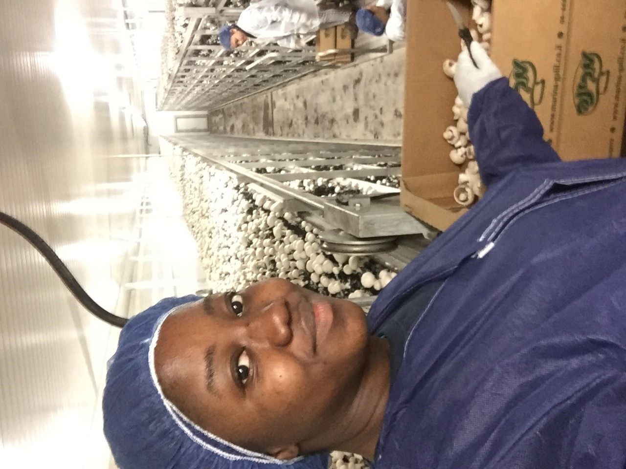 Agrostudies Internship Programme Experience