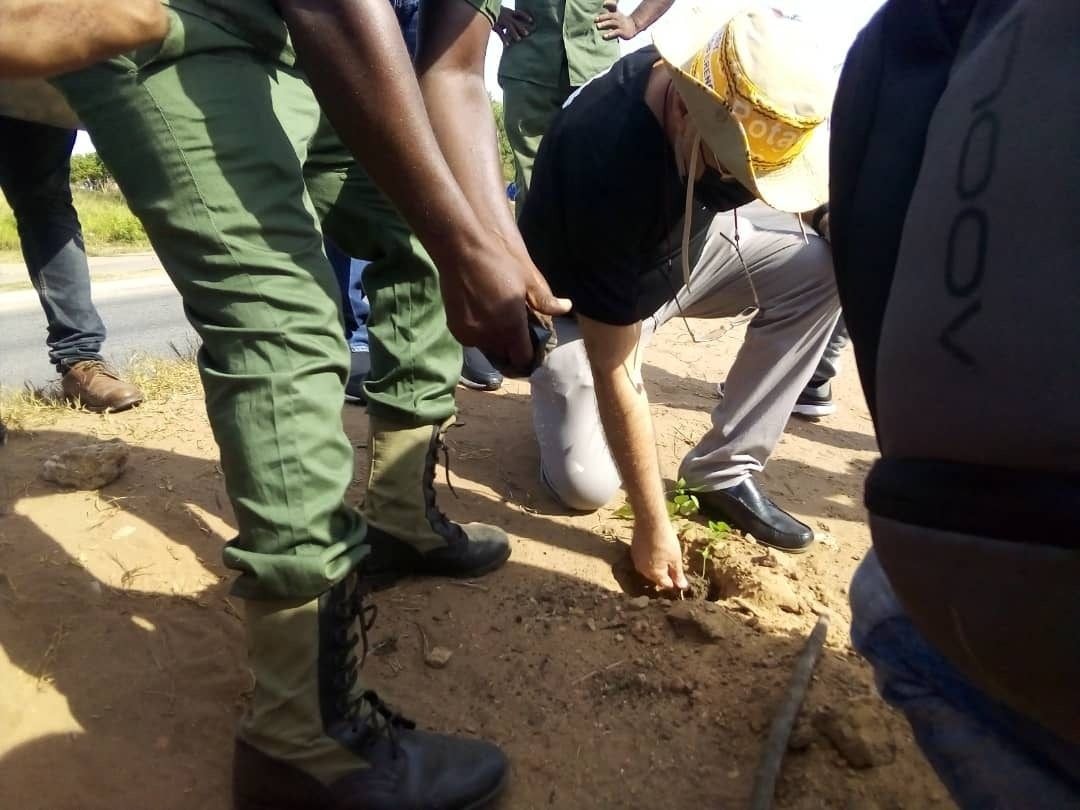 HCCGH supports green Ghana initiative
