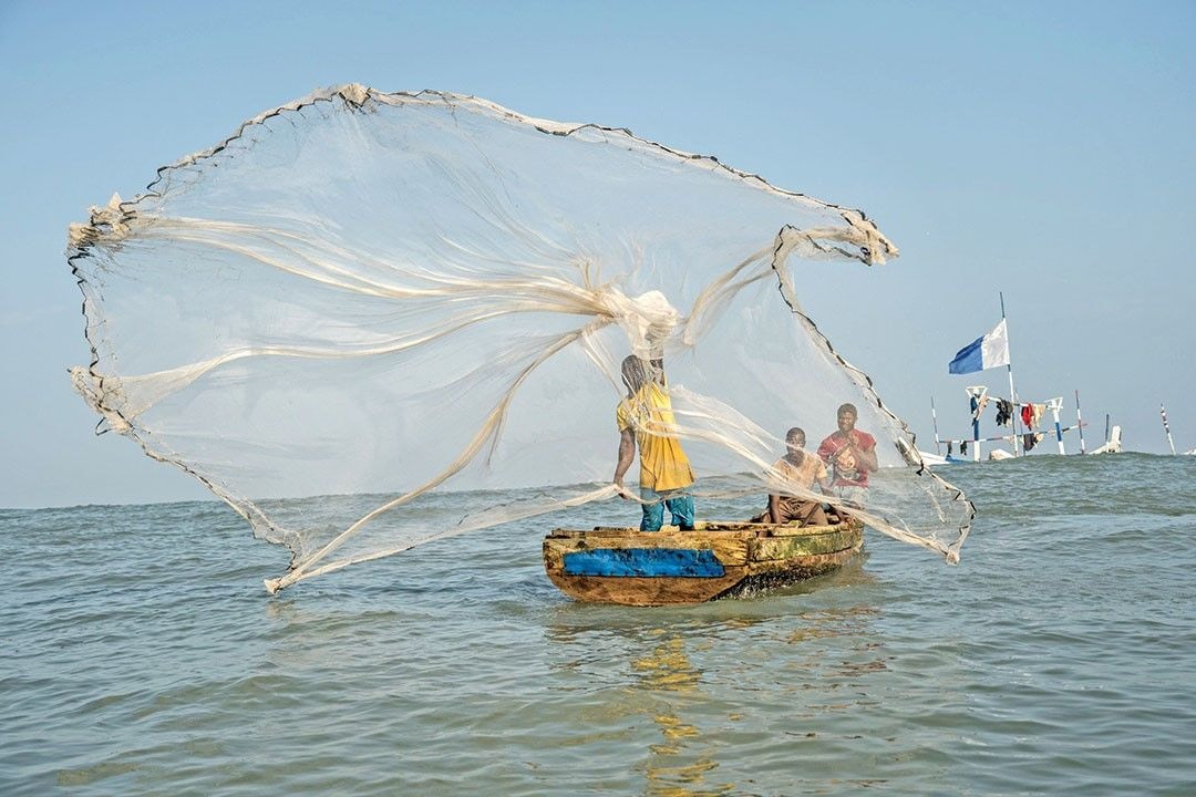 Illegality at sea: 94% of fishers register declining catches – report