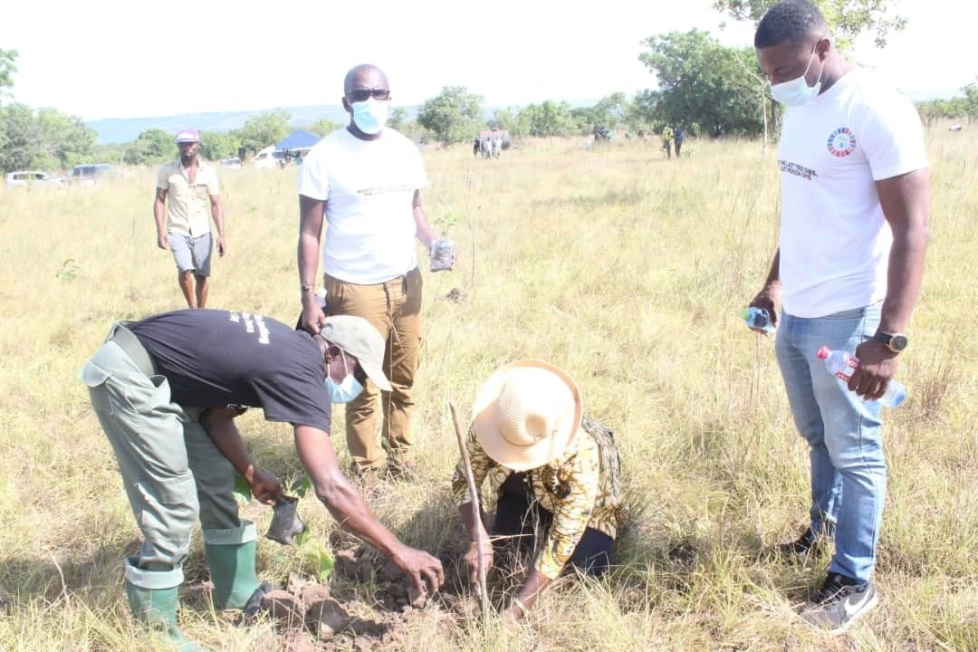 Forestry Commission encourages daily tree planting attitude among youth