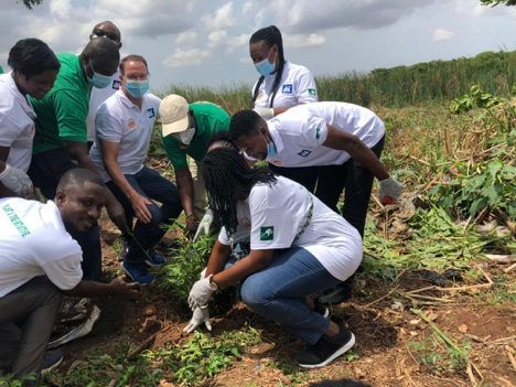 GDF Africa and partners plant 500 trees to protect Lake Kalmoni