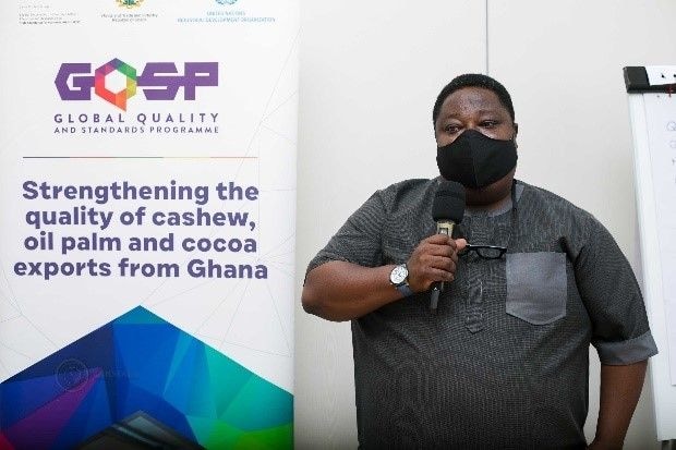 Policy support crucial to boosting cashew trade – GCX
