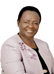 Senior members of CIIG offer mentorship to younger professionals