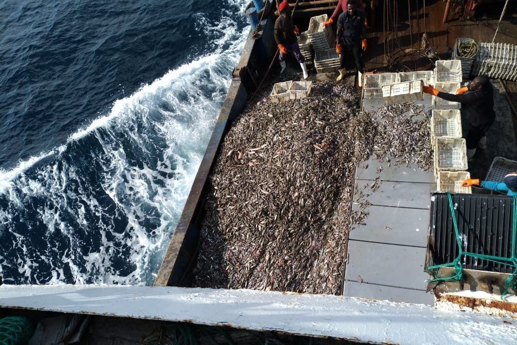 Poor fisheries governance threatening livelihoods in coastal communities – Report