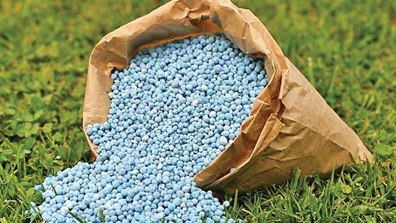 Editorial: PFJ fertiliser subsidy price hikes drove farmers across borders