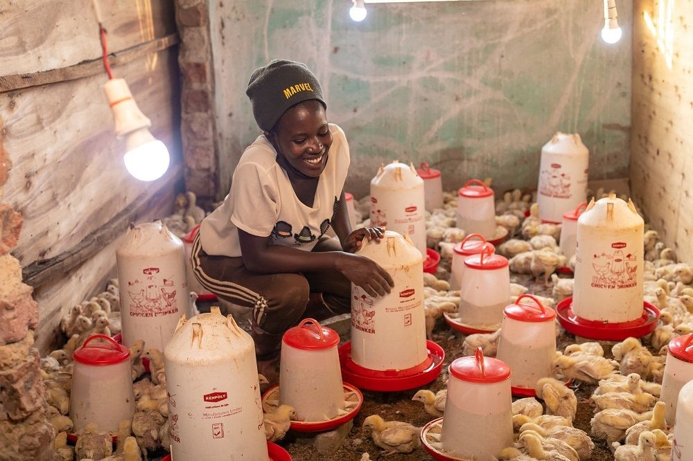 Mid-year budget: Agri-business SMEs call for practical policies to grow sector