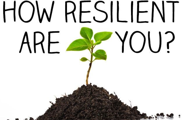 Dial a Counselor with Sybil Shaibu: Are you resilient? Part 2